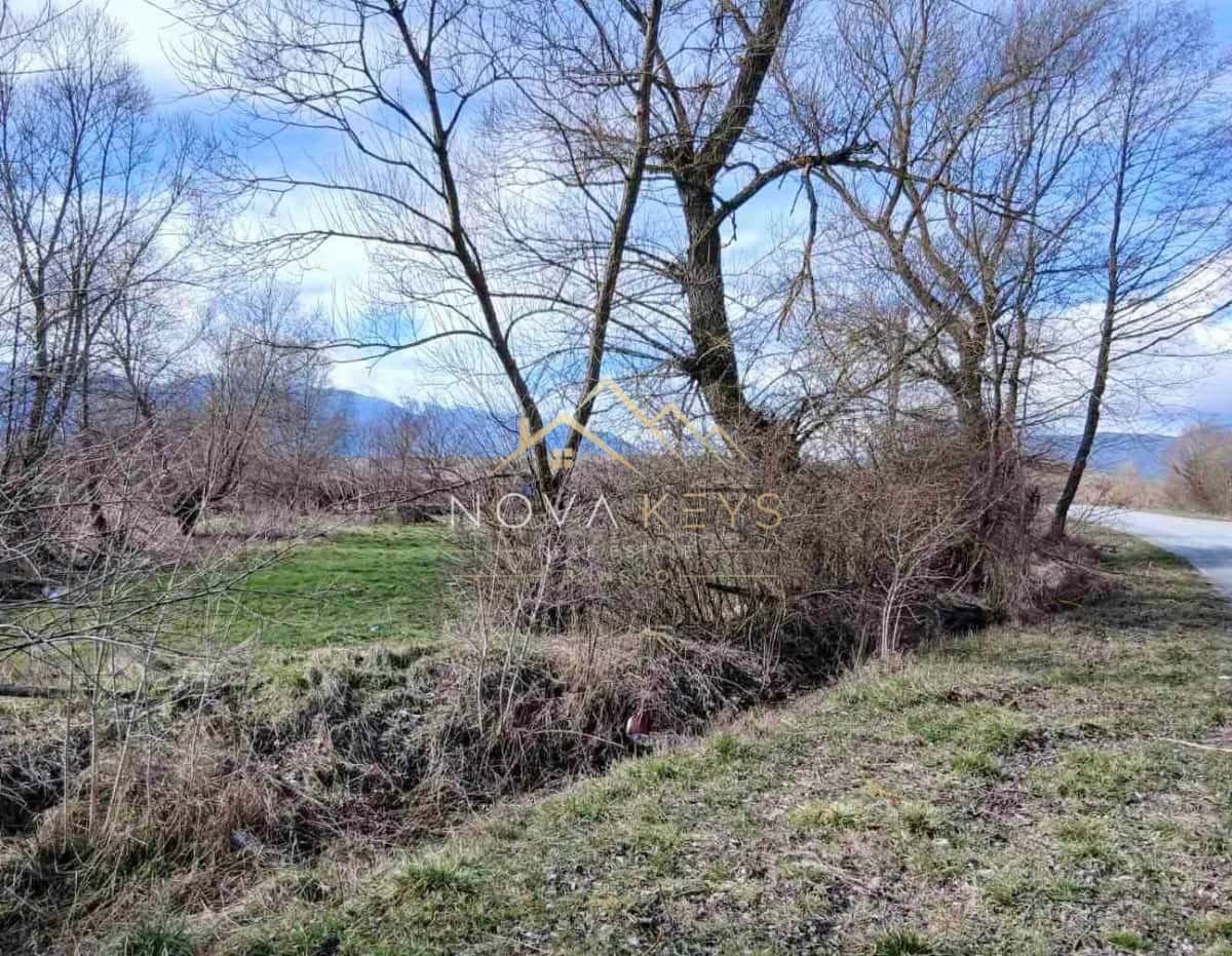 grassy ditch beside leafless trees and road, agricultural land for sale in Banya.