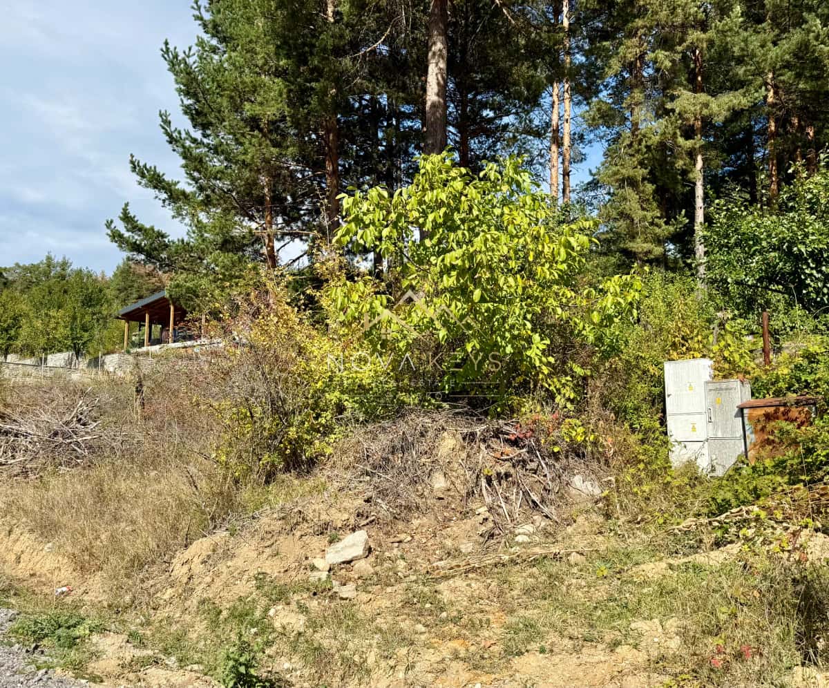 wooded hillside with utility boxes, plot for sale in Razlog.