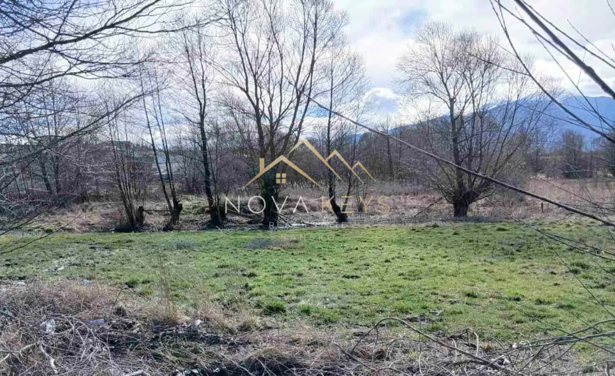 Grassy field with leafless trees, agricultural land for sale in Banya.