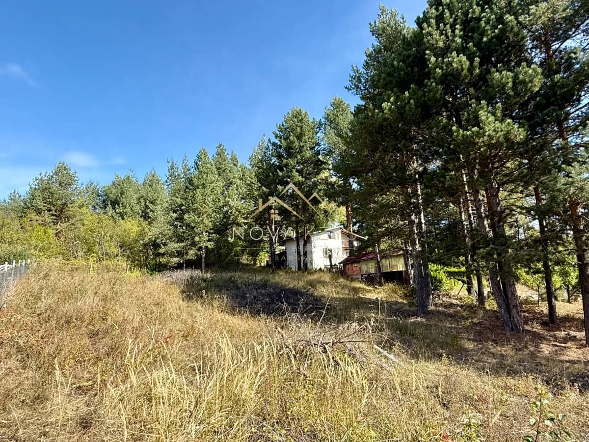 wooded clearing with pine trees, plot for sale in Razlog.