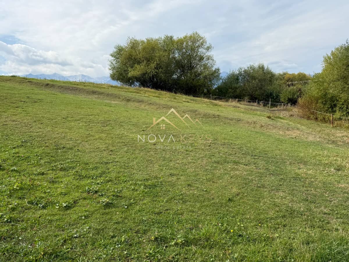 Grassy field with trees and distant mountains, plot for sale in Razlog.