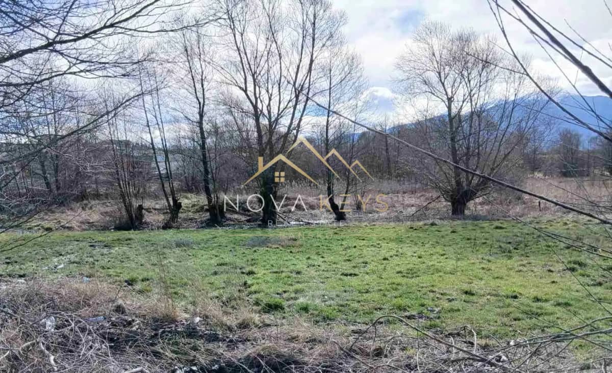 Grassy field with leafless trees, agricultural land for sale in Banya.