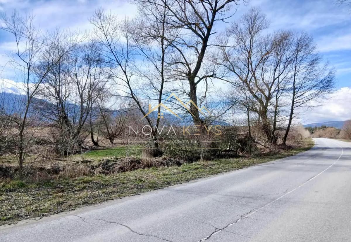 curving rural road with trees, agricultural land for sale in Banya.