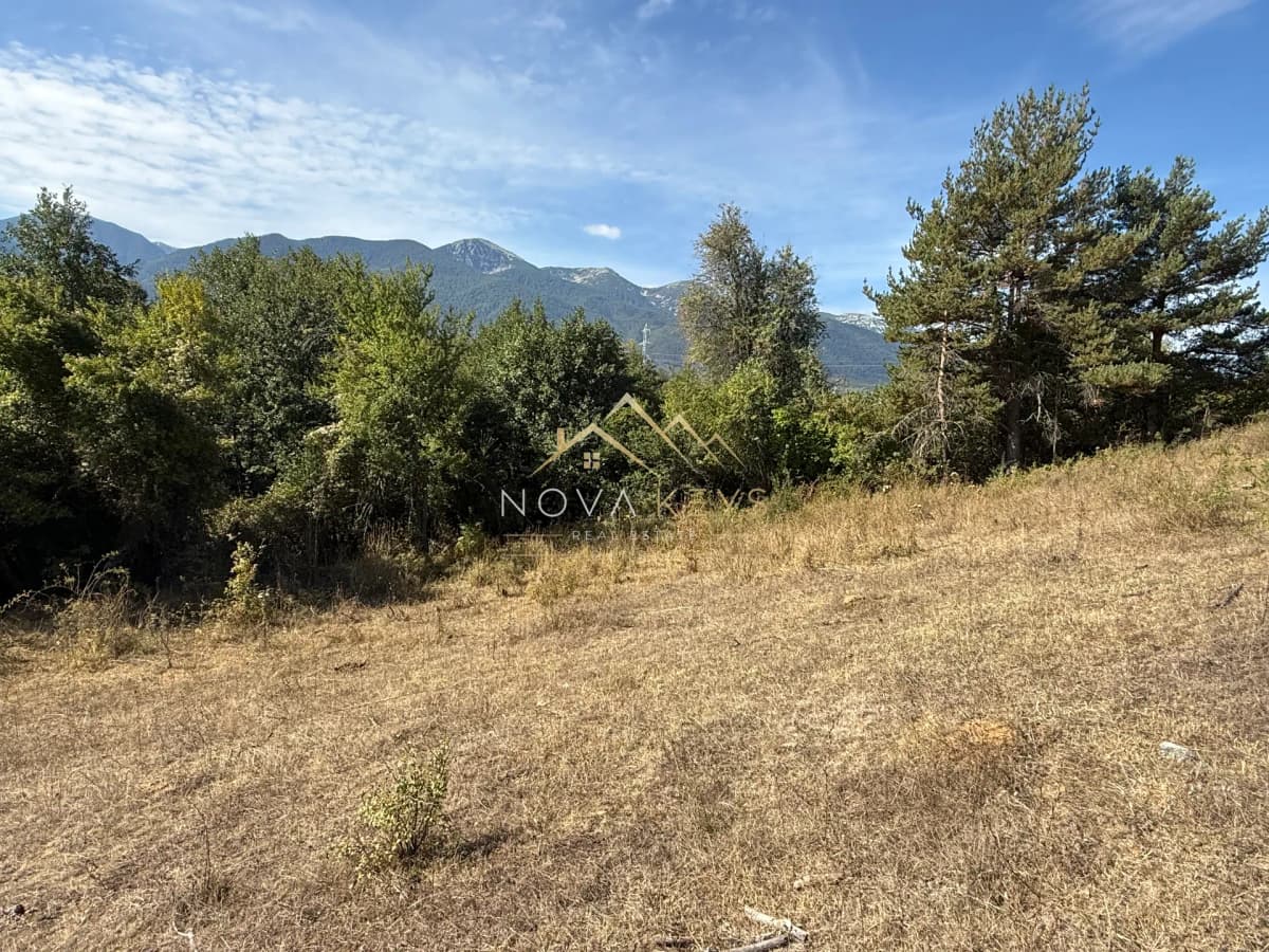 grassy hillside with trees and mountains, agricultural land for sale in Razlog.