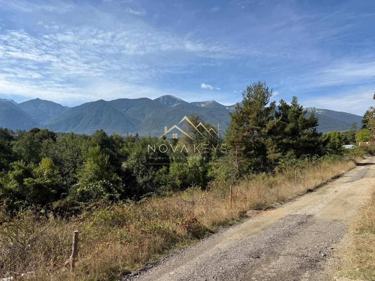Mountain landscape with gravel road and trees, agricultural land for sale in Razlog.