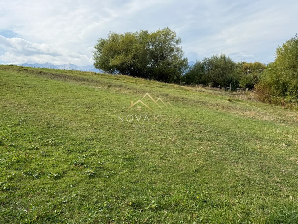 Grassy field with trees and distant mountains, plot for sale in Razlog.