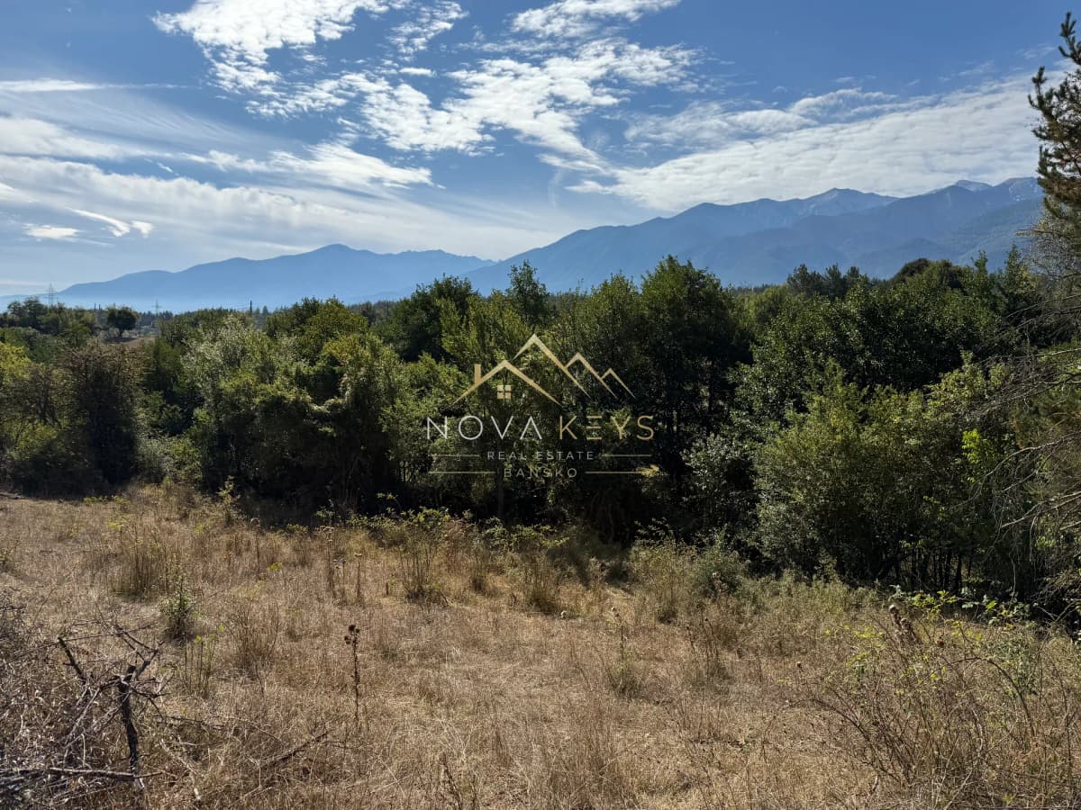 Mountain landscape with trees and dry grass, agricultural land for sale in Razlog.