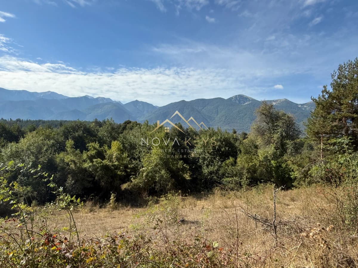 Mountain landscape with trees and grassy clearing, agricultural land for sale in Razlog.